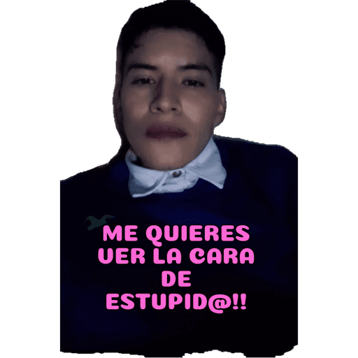 Mis pegatinas 20