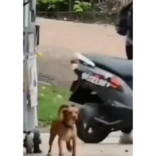 Aleatórias