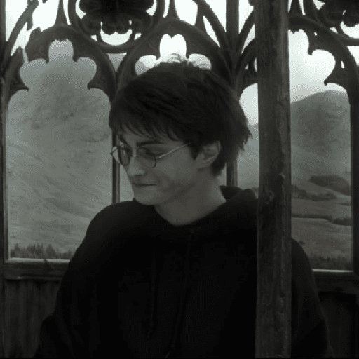 ⎯  Harry Potter. ׀ jota 5