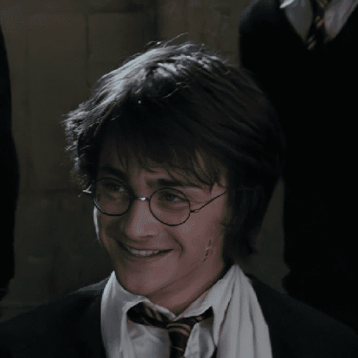 ⎯  Harry Potter. ׀ jota 6