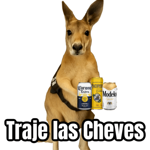 🦘Memes canguro 🦘😂