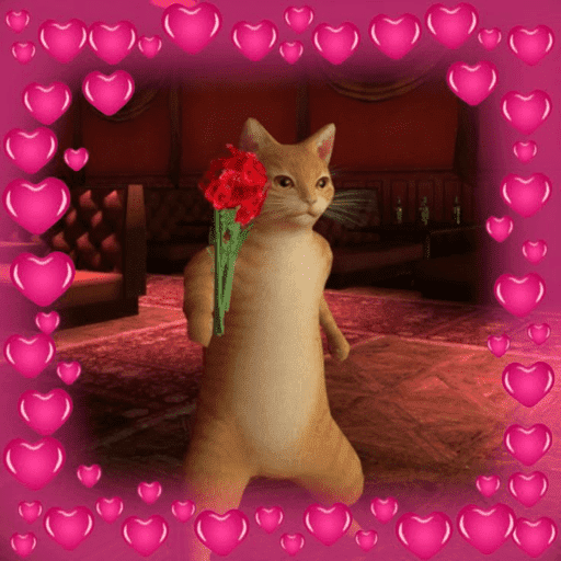 Gatos enamorados - Tiktok 💕❤️ 16