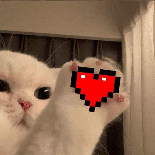 Gatos enamorados - Tiktok 💕❤️ 2