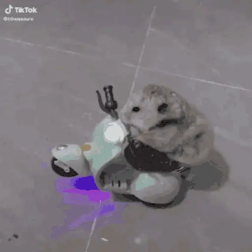 Hamster en moto 🐹🛵