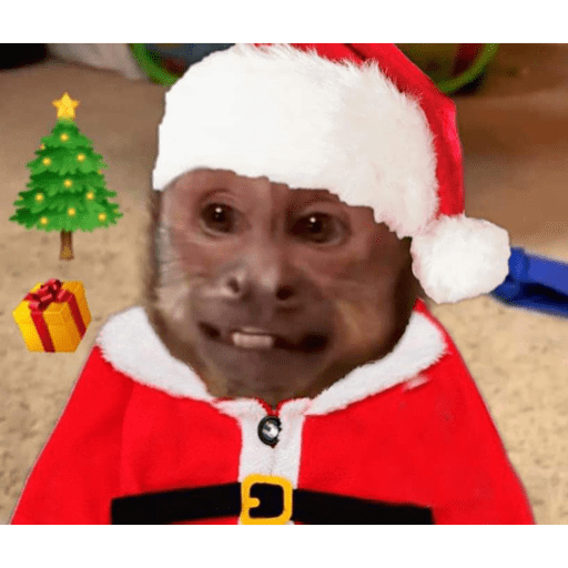 Memes navideños 🎄🎅 10