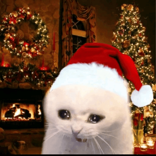 Memes navideños 🎄🎅 14