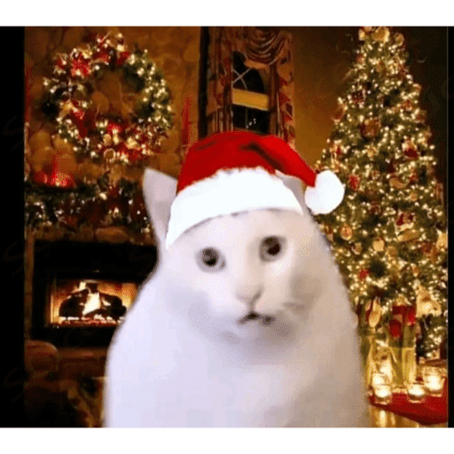 Memes navideños 🎄🎅 13