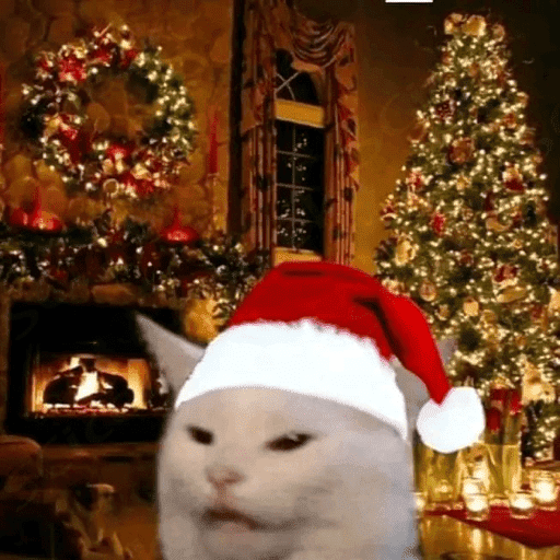 Memes navideños 🎄🎅 9