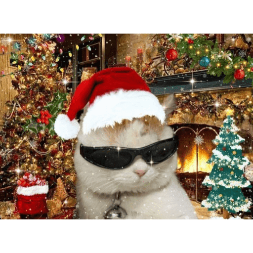 Memes navideños 🎄🎅 4