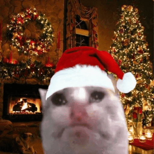 Memes navideños 🎄🎅 12