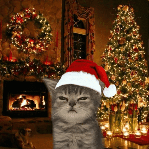 Memes navideños 🎄🎅 2