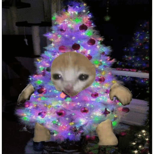 Memes navideños 🎄🎅 7