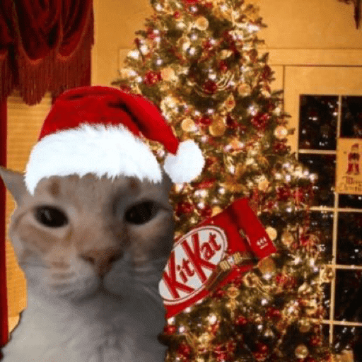 Memes navideños 🎄🎅 6