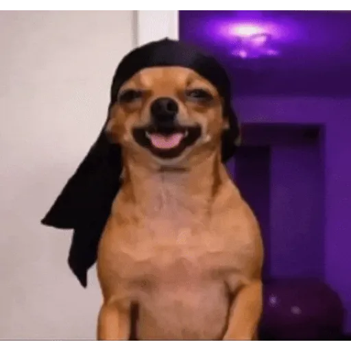 Tiktok comentarios - Bailes 7