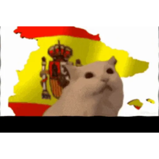 España mundial - Memes  17