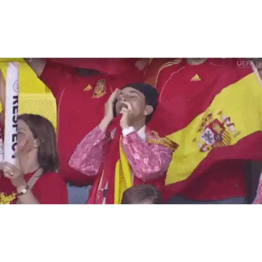 España mundial - Memes  8