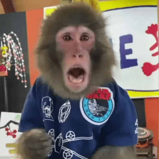 Adhesiu