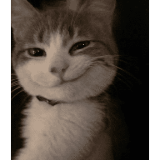 Gatitod virales - Memes #1 🤣🐈 7