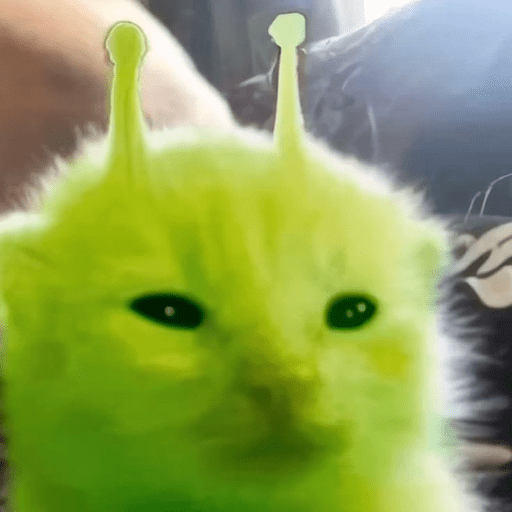 Gatitod virales - Memes #1 🤣🐈 6