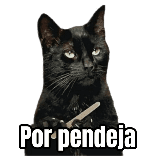 Brujas 🧿 - Memes - Halloween