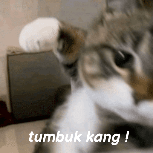 Pykaaaaaaaaa punyaaaa 2
