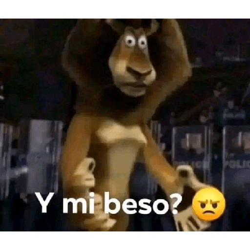 Xddd 13