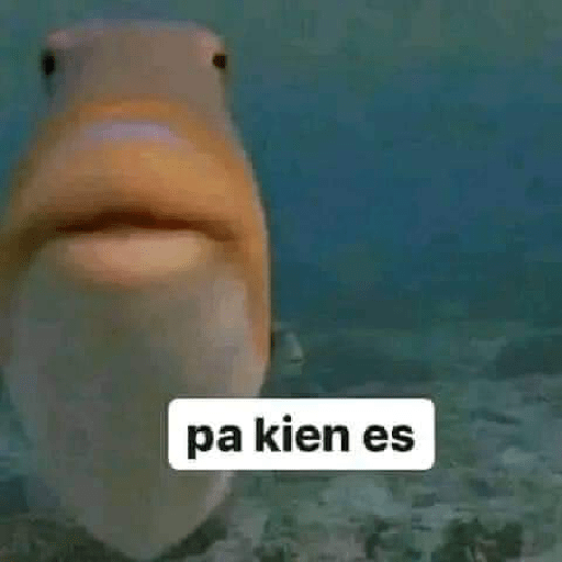 Xddd 5