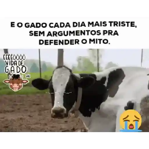 VIDA DE GADO - Gifs 2