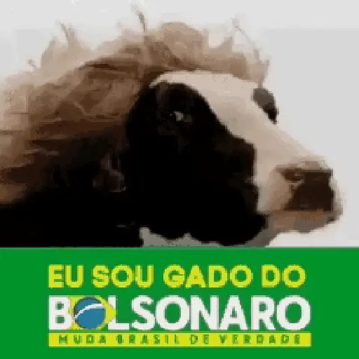 VIDA DE GADO - Gifs 3