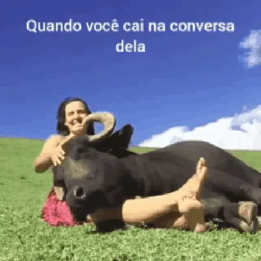 VIDA DE GADO - Gifs 14