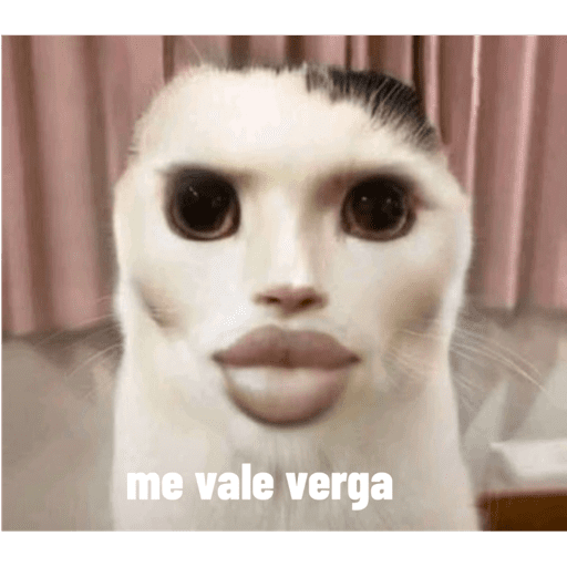 Mis pegatinas