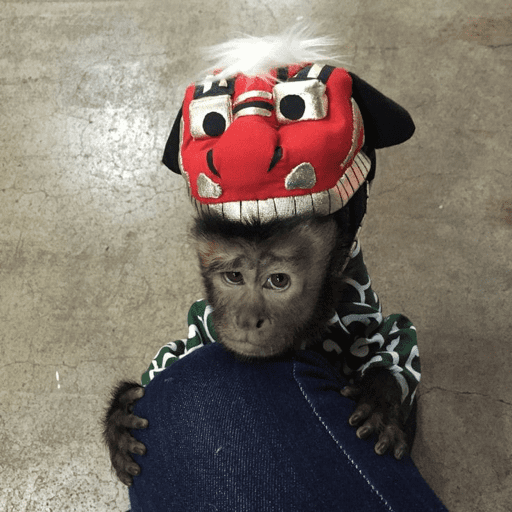 Monos 1.7 27