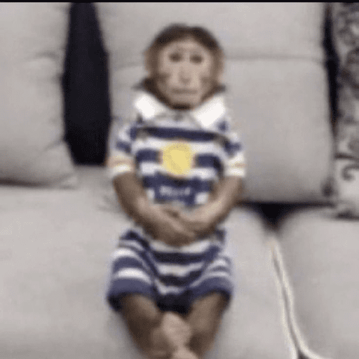 Monos 1.7 15