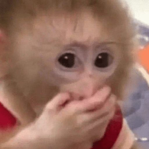 Monos 1.7 12