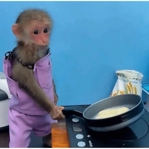 Monos 1.7 11