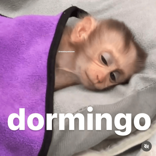 Monos 1.7 2