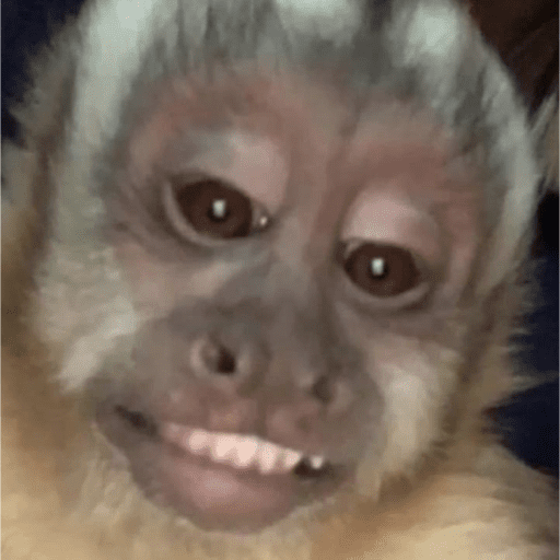 Monos 1.7 26