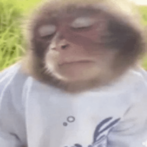 Monos 1.7 6