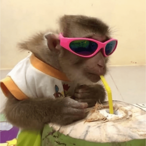 Monos 1.7 25