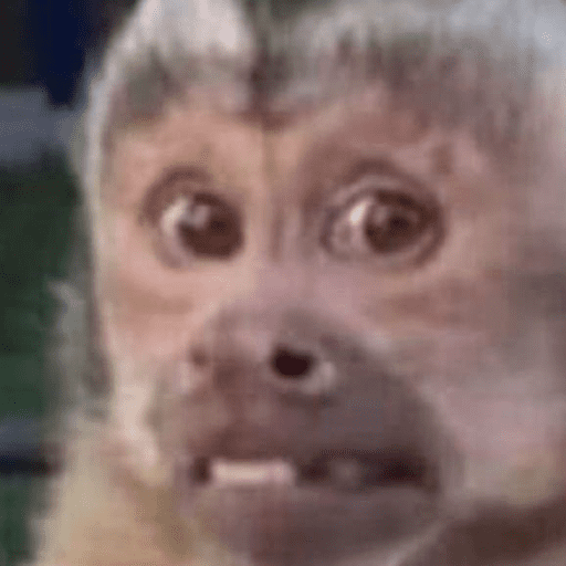 Monos 1.7 20