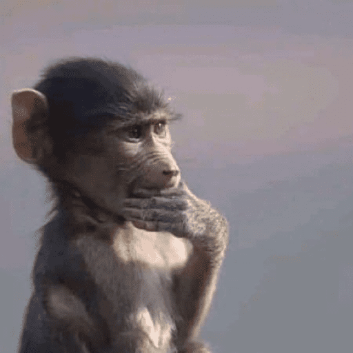 Monos 1.7 30