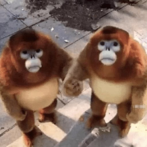 Monos 1.7 24