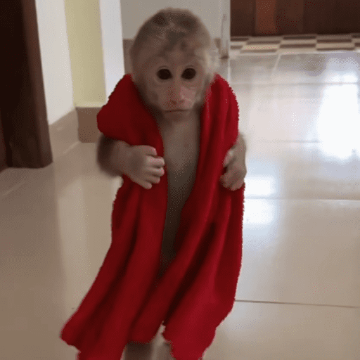Monos 1.7 5