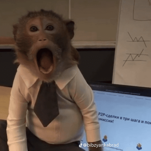 Monos 1.7 13
