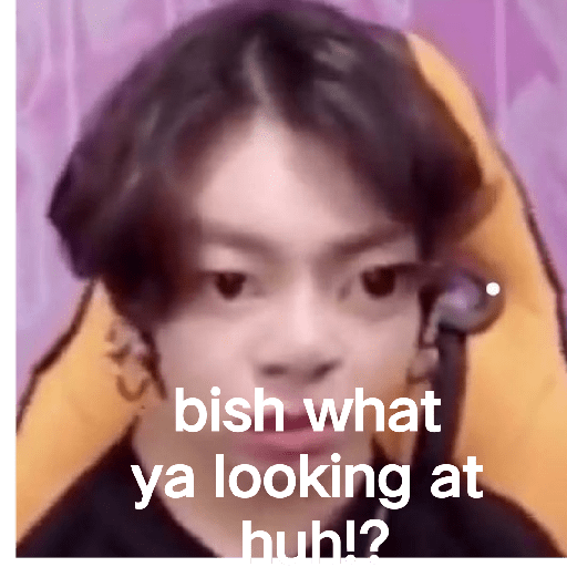 BTS meme