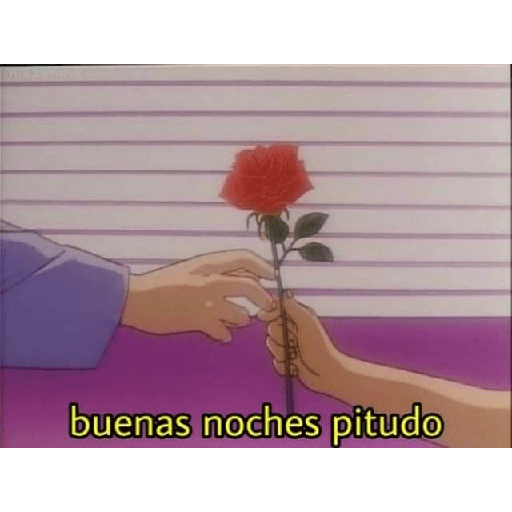 Randomsssss 15