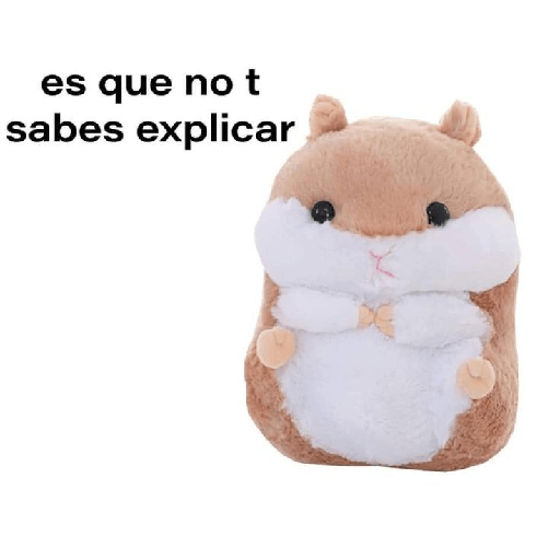 Randomsssss 19