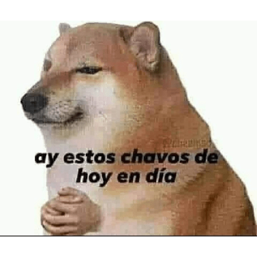 Randoms 5 4