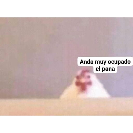 Randoms 5 8