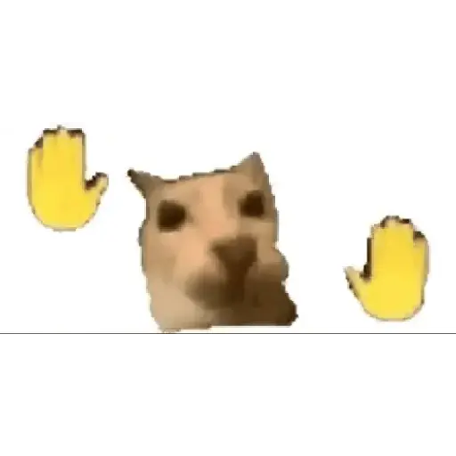 Cat 2